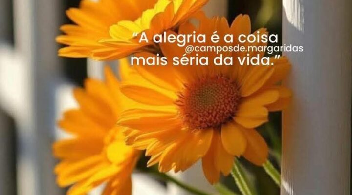 20 Mensagens de Bom Dia